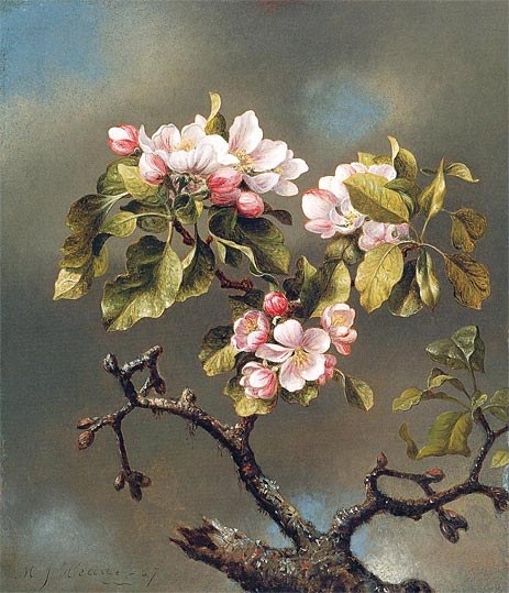 Martin Johnson Heade Branch of Apple Blossoms against a Cloudy Sky